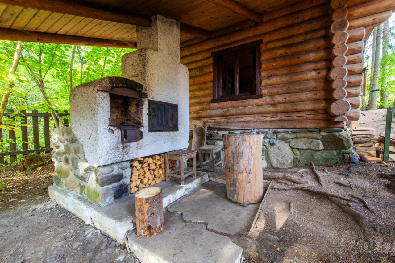 Forest Home Relax Borzont المظهر الخارجي الصورة