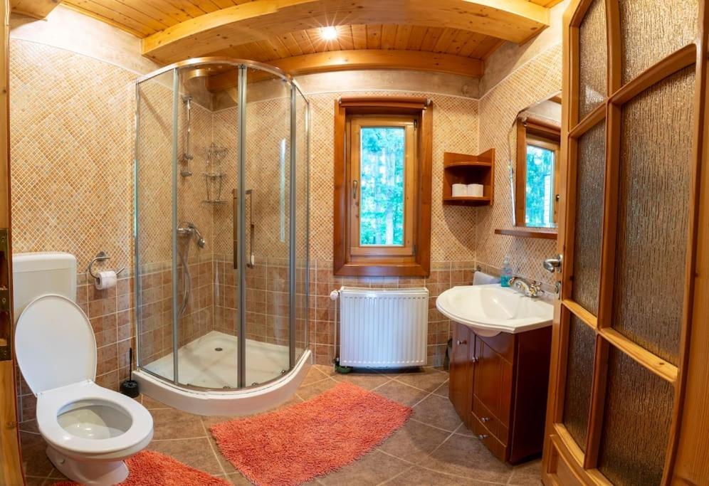 Forest Home Relax Borzont المظهر الخارجي الصورة